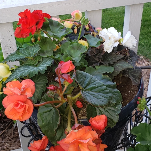 Meet your Posher, Mary - Picture 9 of 16